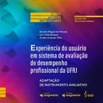 User experience in UFRJ's professional performance assessment system