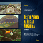 Pimenta Cultural gestao amazonia 2