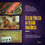 Pimenta cultural gestao amazonia 3